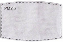 Adult size - Filter replacement - PM 2.5 filter for face mask