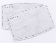 Adult size - Filter replacement - PM 2.5 filter for face mask